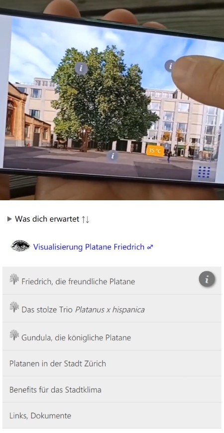 Die «Züri begrünt» Web-App; oben Visualisierung Platane Friedrich; unten: verschiedene Sektoren zu den Stationen des Platanenwegs