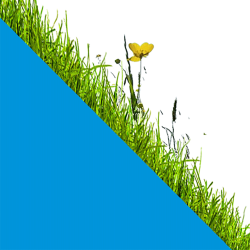 Zürich begrünt Logo