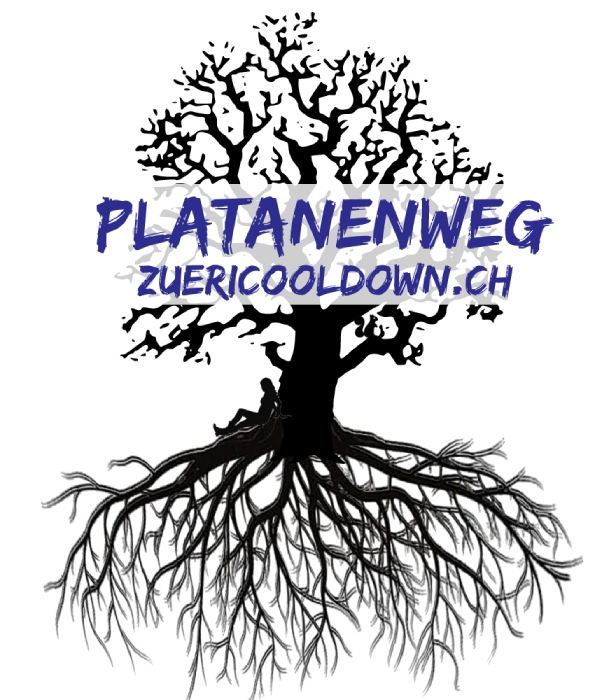 Plakat zur Baumführung mit Wurzeln in Front der Platane beim Schiffbauplatz