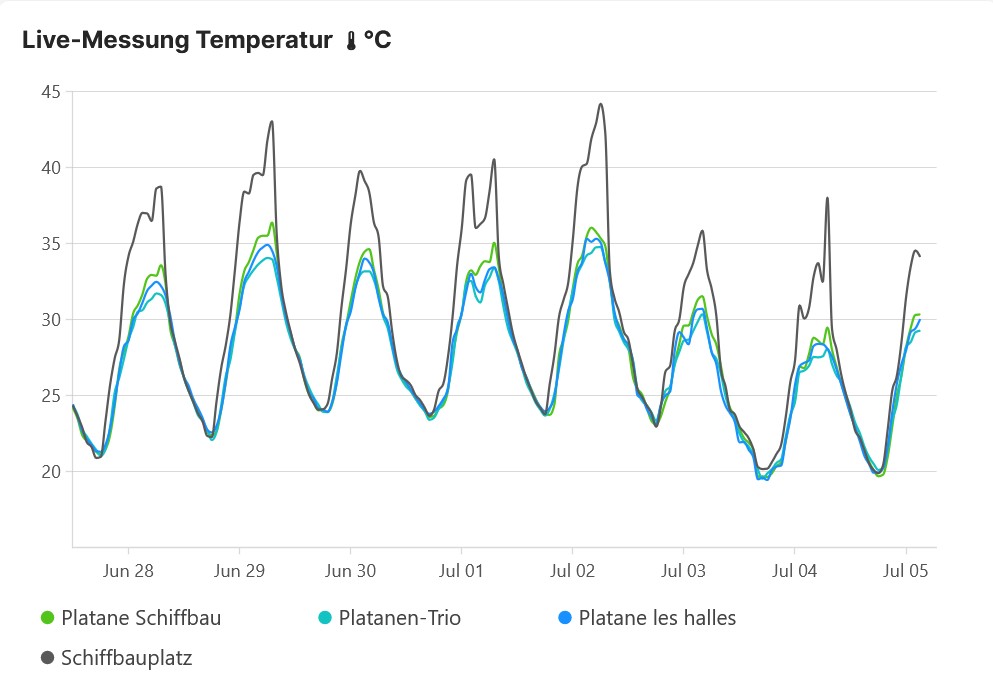Temperaturkurven einer Woche, vom 28.Juni bis 05.Juli 2025, Platanenkronen und geteerter Platz